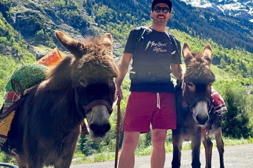 A person standing next to two donkeys on a road with mountains in the background. 3