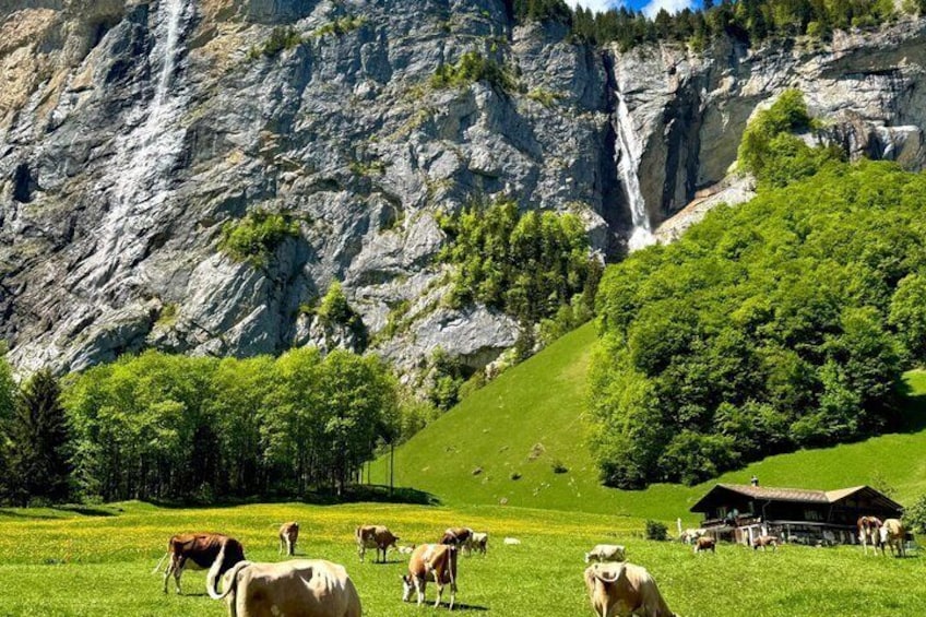 A mountainous landscape with a waterfall, grazing cows, and a wooden cabin. 4