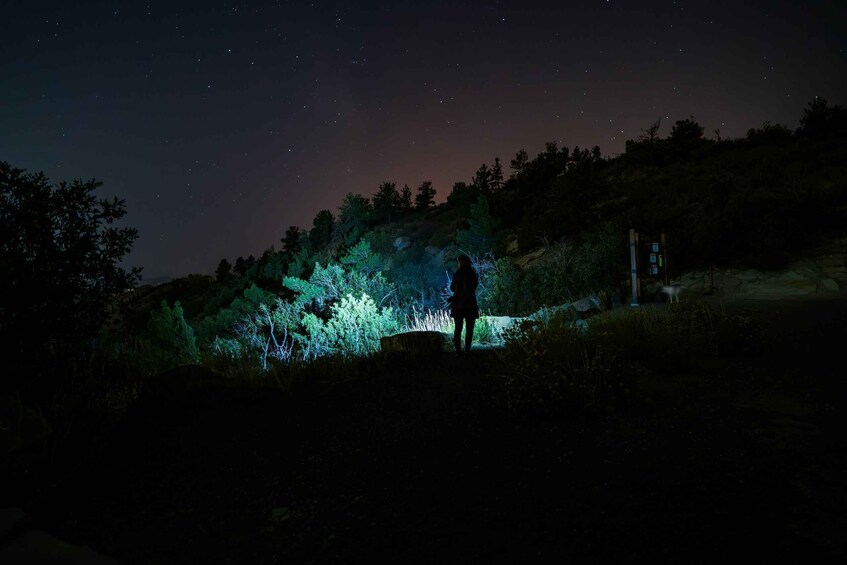 A person standing on a hill under a starry night sky. 5