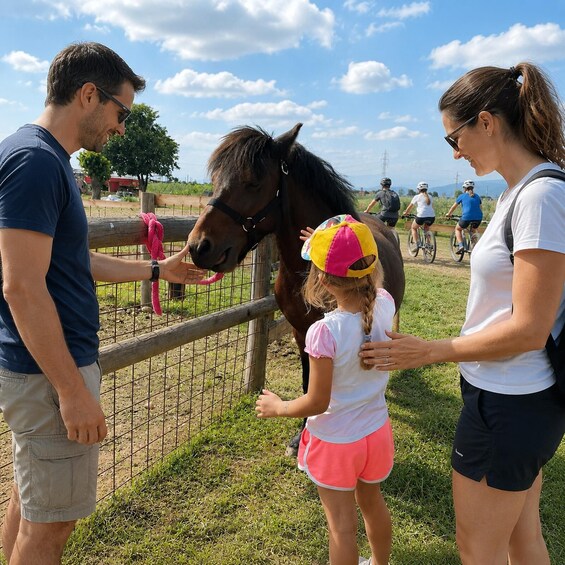 A family interacting with a horse near a fence in a grassy area with cyclists in the background. 1