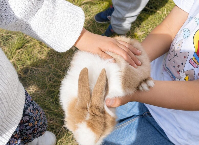 A person holding a rabbit. 2