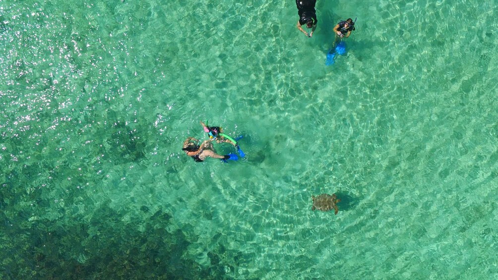Three people snorkeling in clear turquoise water. 5