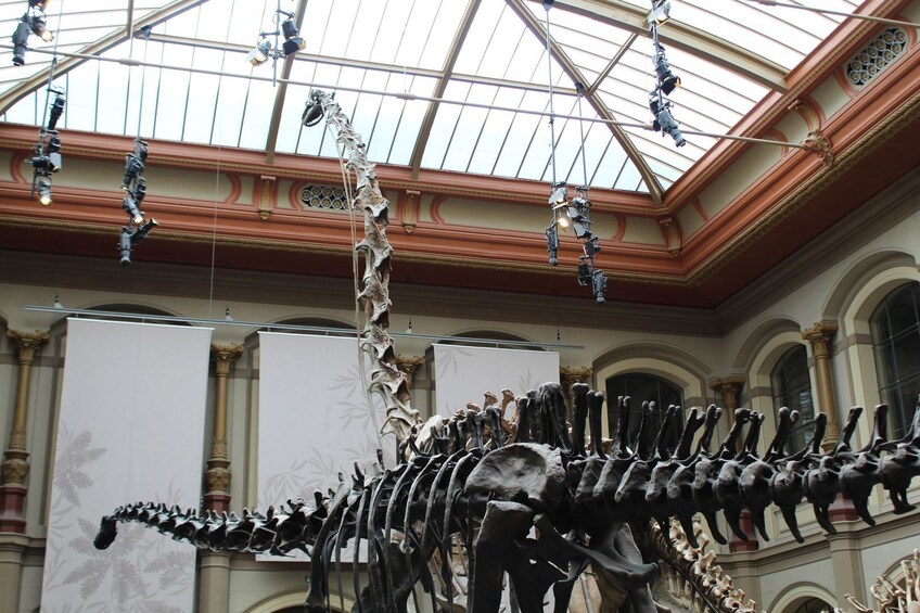 A dinosaur skeleton exhibit in a museum with a glass ceiling and classical architecture. 2