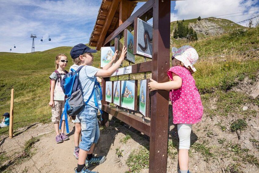 A wooden signpost with multiple panels, a grassy hill, and a ski lift in the background. 5