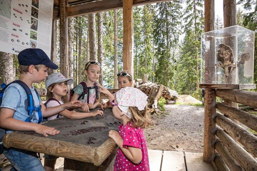 A group of people at a wooden structure with a glass enclosure containing a bird. 3