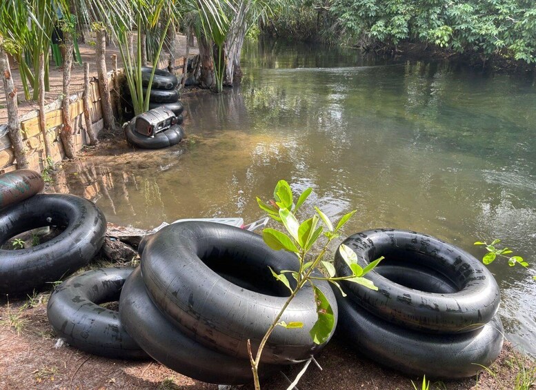 A riverbank with several black tires stacked and lying on the ground, surrounded by greenery and trees. 3
