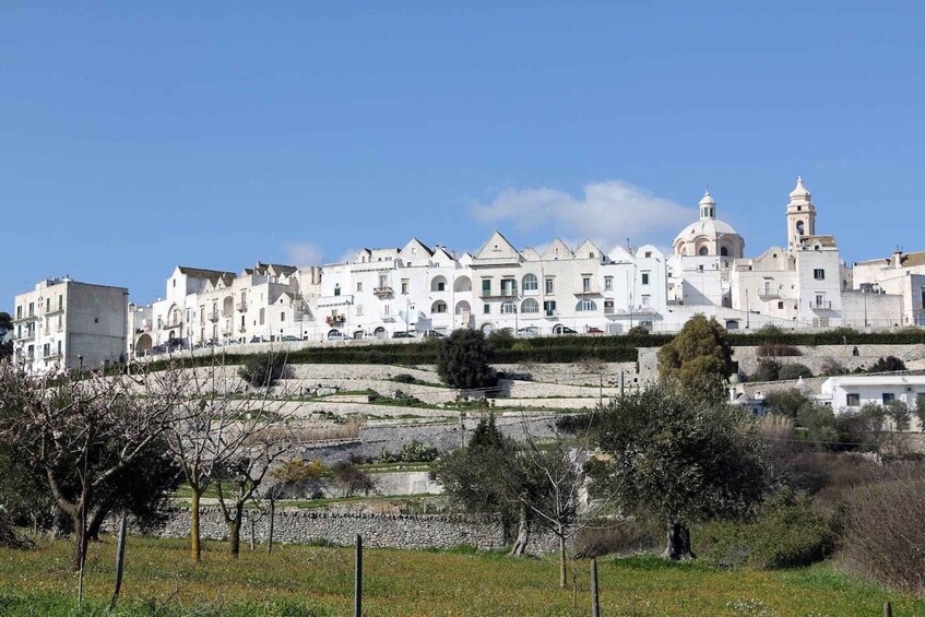 A white building complex with a dome and bell tower, surrounded by trees and a stone wall. 5