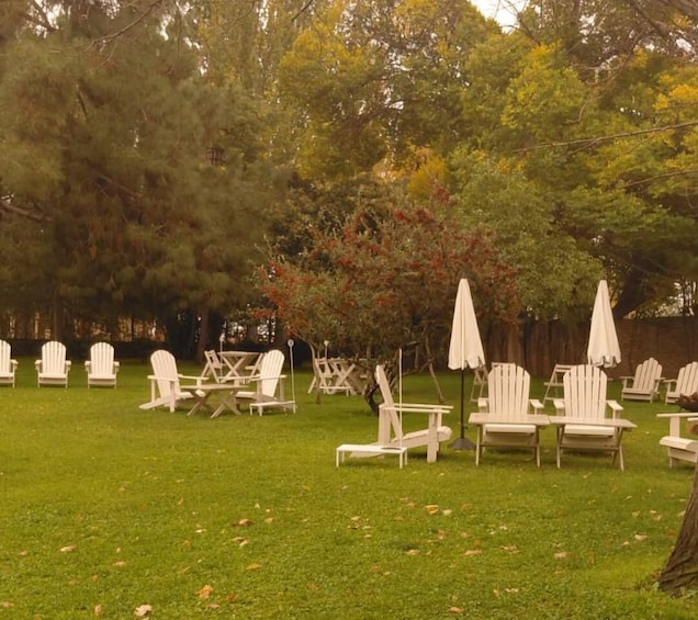 Een gazon met witte Adirondack-stoelen en parasols, omringd door bomen. 3