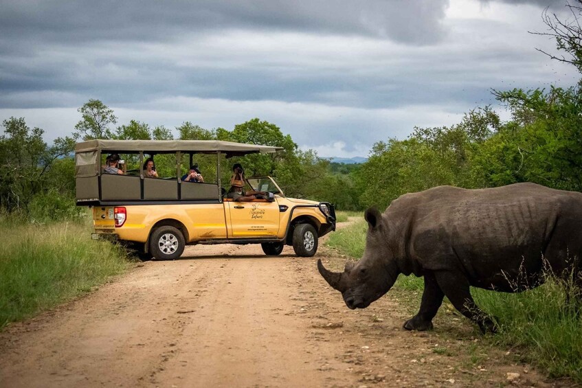 A safari vehicle on a dirt road with a rhinoceros in the foreground. 4