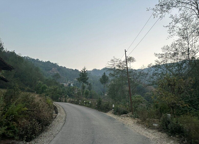 Une route de campagne sinueuse qui traverse un paysage vallonné, avec une végétation clairsemée et quelques maisons isolées. 4