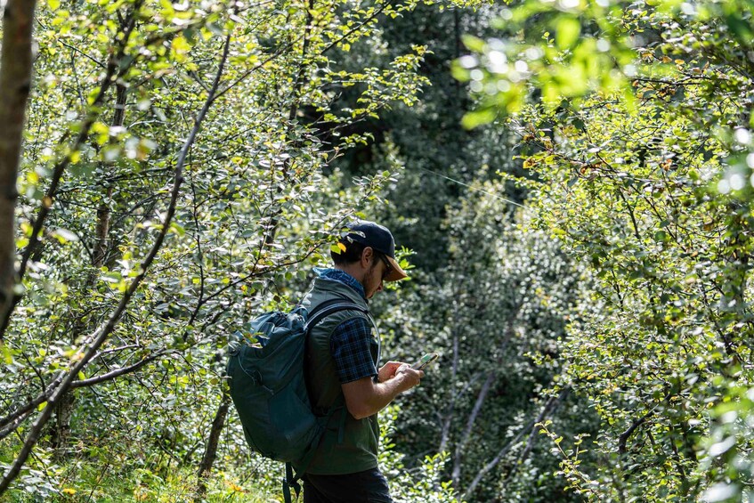 A person hiking through a dense forest with a backpack. 5