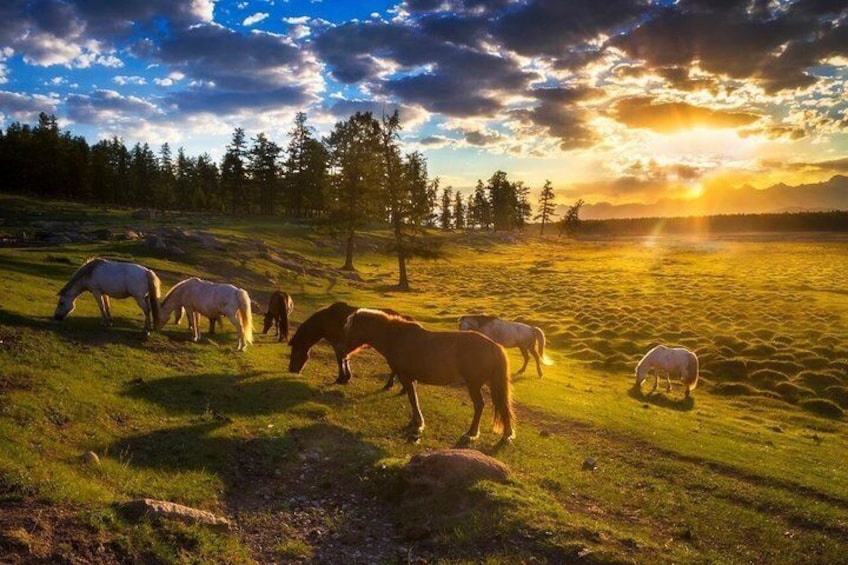 8-Day Khuvsgul Discovery Tour 1