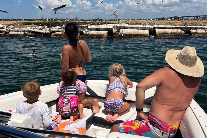 A boat with people on it, water, and a rocky shoreline with birds in the background. 4