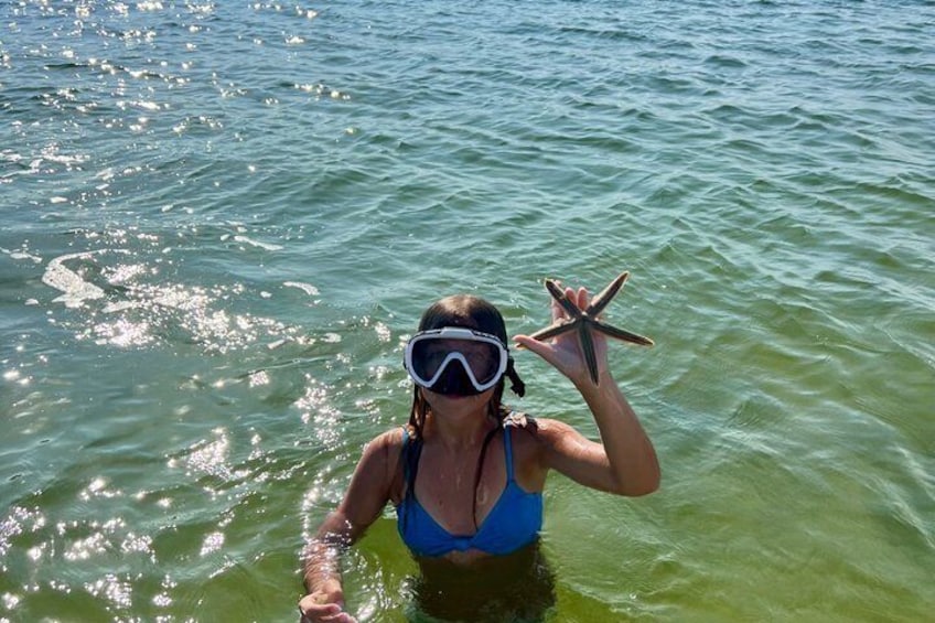 Private Dolphin and Snorkel Tour in Panama City Beach 4