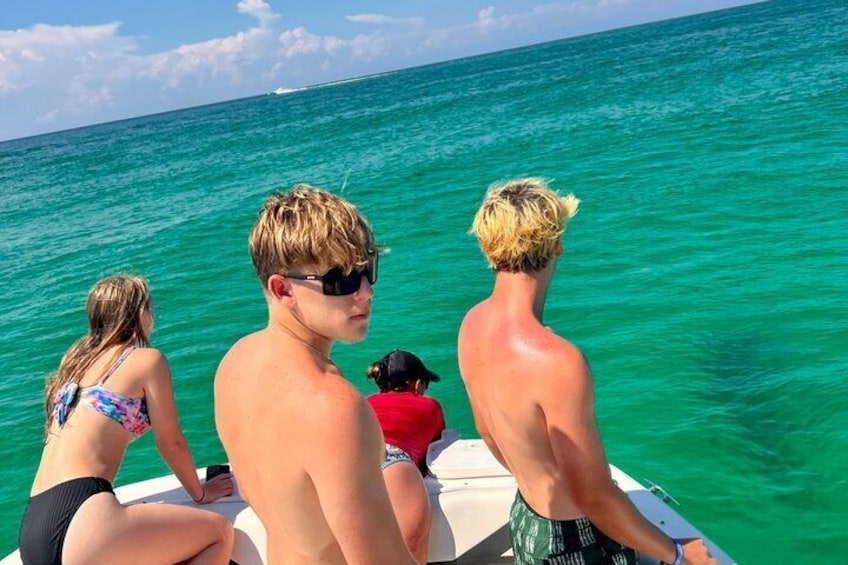 Private Dolphin and Snorkel Tour in Panama City Beach 2