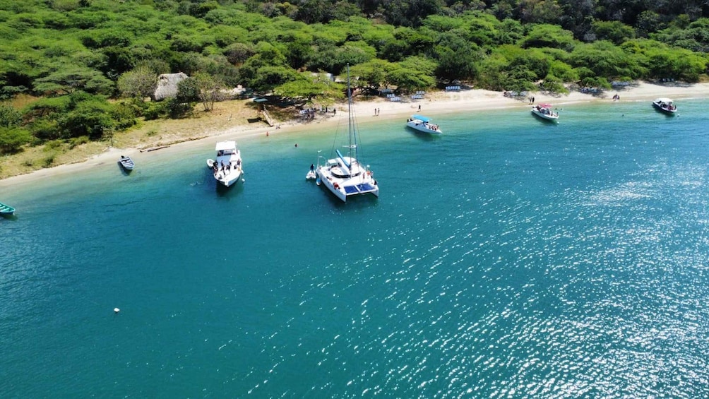 A coastal area with several boats anchored near the shore, surrounded by dense green vegetation. 3