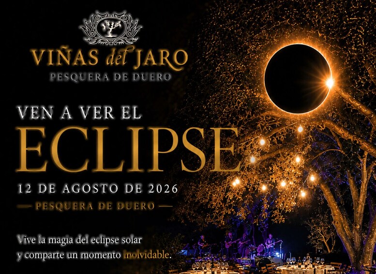 A solar eclipse event at Viñas del Jaró, featuring a tree illuminated by string lights. 3