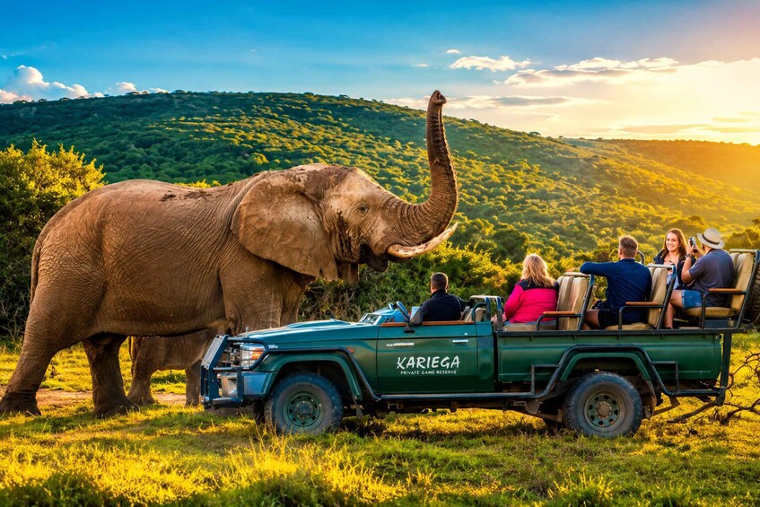 An elephant with tourists in a safari vehicle. 1