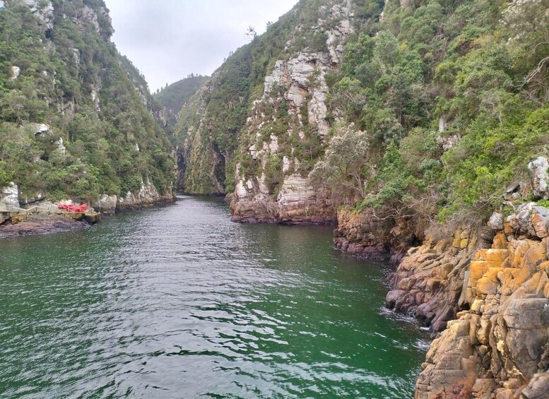A river flanked by rocky cliffs and dense greenery. 4