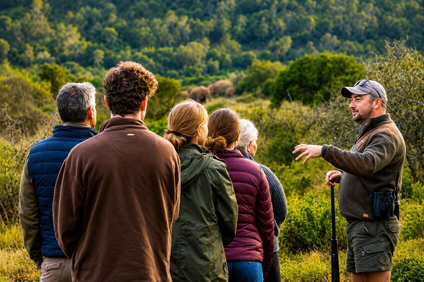 A group of people in a natural outdoor setting, possibly on a guided tour, with a guide pointing towards something in the distance. 4