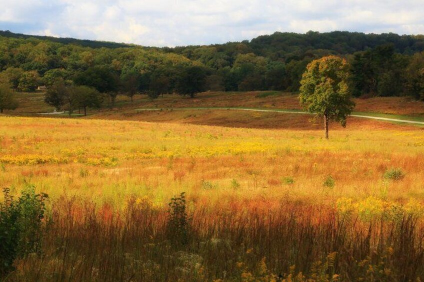 Escape the Park: Valley Forge - Three Self-Guided Mystery Games 2