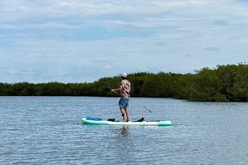A person paddleboarding on a calm body of water with a forested shoreline in the background. 3