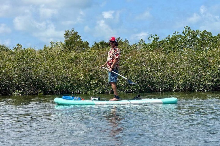 A person standing on a paddleboard in a body of water, surrounded by dense mangrove vegetation. 2