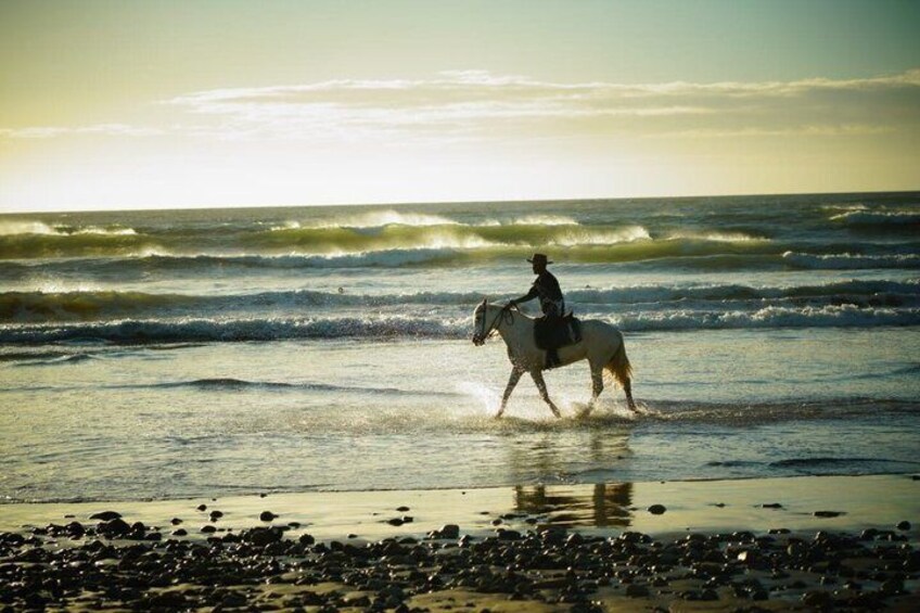 A person riding a horse along a beach with waves and a sunset in the background. 3