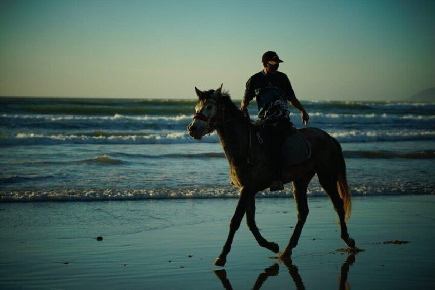 A person riding a horse on a beach with waves in the background. 4