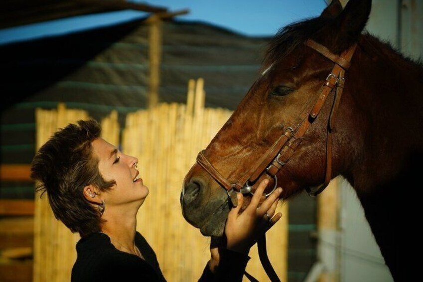 A person interacting with a horse in a stable environment. 5