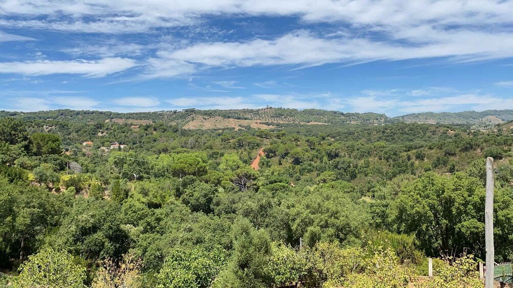 A lush green landscape with a winding path, dense forest, and rolling hills under a partly cloudy sky. 4