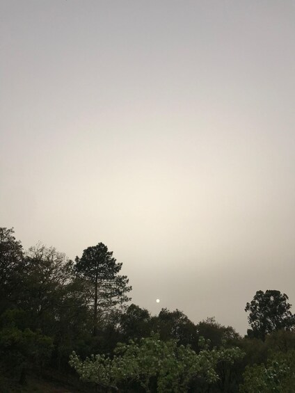 A moonrise over a forested landscape. 2