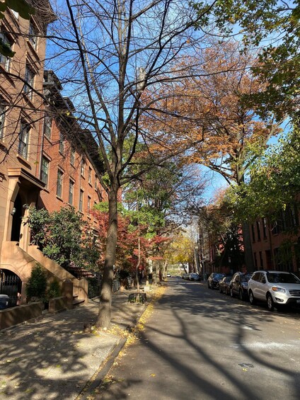 A tree-lined street with parked cars and red brick buildings. 2