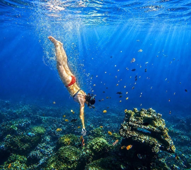 Picture 16 for Activity Bali: Snorkeling Lokal Amed 2