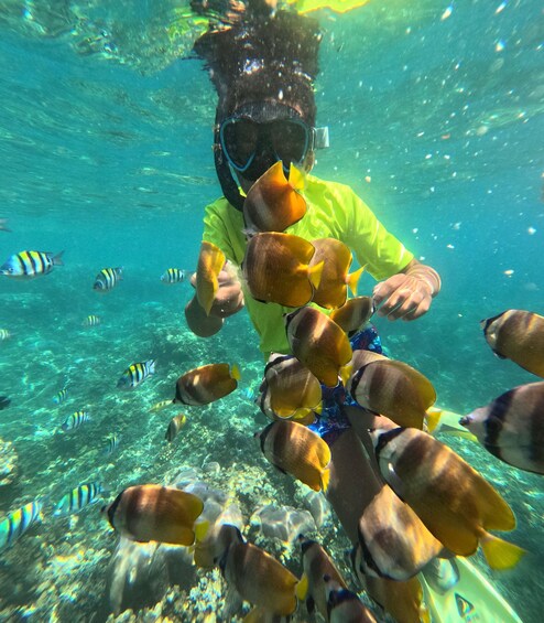 Picture 24 for Activity Bali: Snorkeling Lokal Amed 3