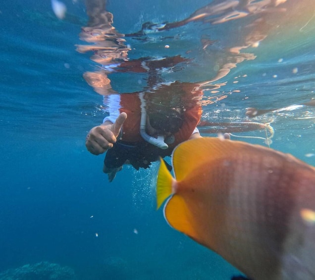 Picture 17 for Activity Bali: Snorkeling Lokal Amed 4