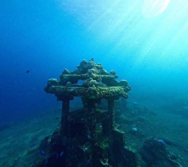 Picture 11 for Activity Bali: Snorkeling Lokal Amed 2