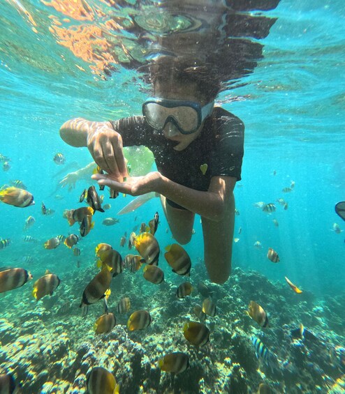 Picture 25 for Activity Bali: Snorkeling Lokal Amed 5