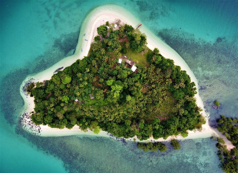An aerial view of a tropical island with dense vegetation and a narrow sandy beach. 1