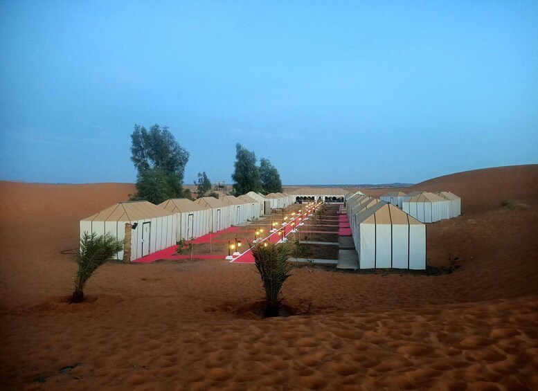 A desert campsite with tents arranged in rows, a red carpet path, and a few trees. 5