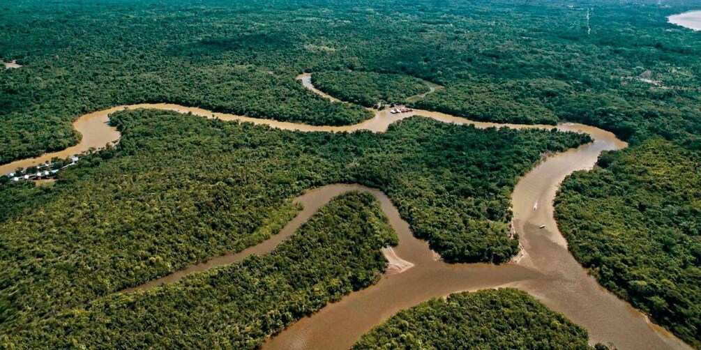 A river winding through a dense forest. 3