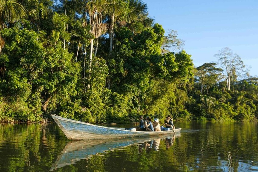 A boat with people rowing on a river surrounded by dense green foliage. 5