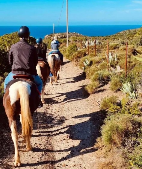 Two people horseback riding on a dirt path with a view of the ocean. 5