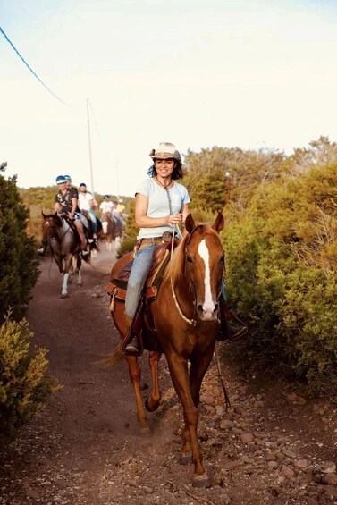 A person riding a horse on a dirt path surrounded by greenery. 2