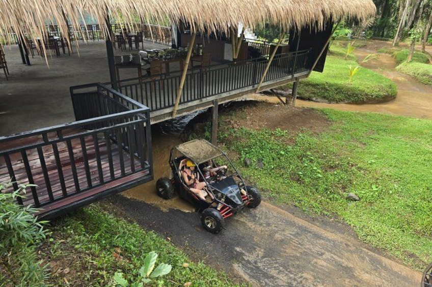 A thatched-roof structure with a paved pathway leading to it, surrounded by greenery. 4