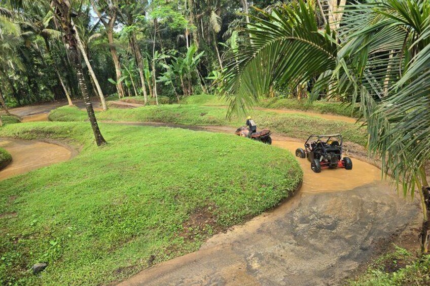A dirt path with two off-road vehicles, surrounded by lush greenery and palm trees. 3