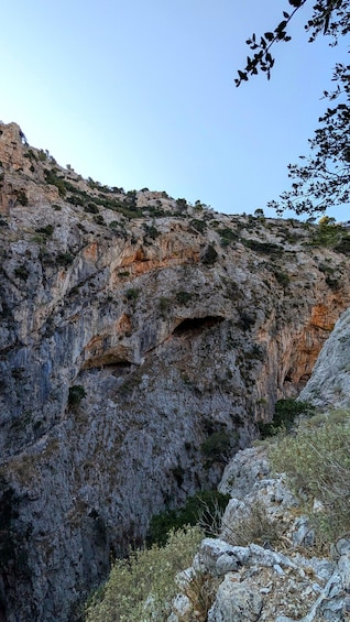 A rocky cliff with a cave entrance and sparse vegetation. 4