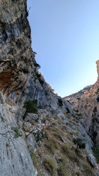A rugged mountain landscape with rocky cliffs and sparse vegetation. 5