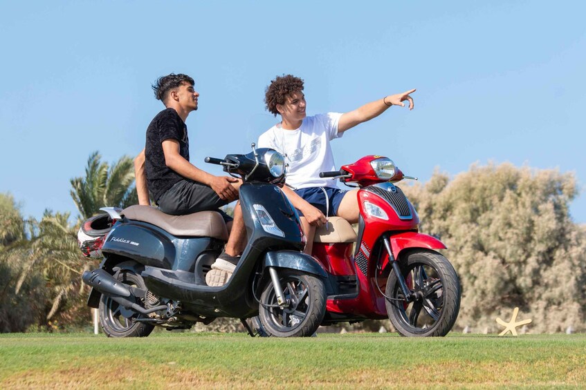 Two people on a scooter with a palm tree and a starfish in the background. 1