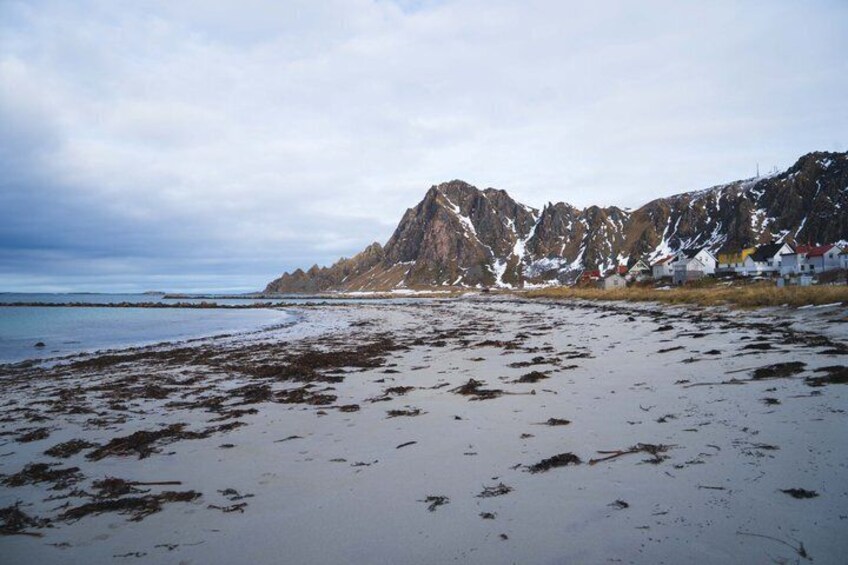 A beach with seaweed, a rocky mountain, and houses in the background. 3
